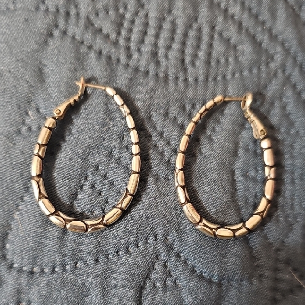Elegant Silver Hoop Earrings